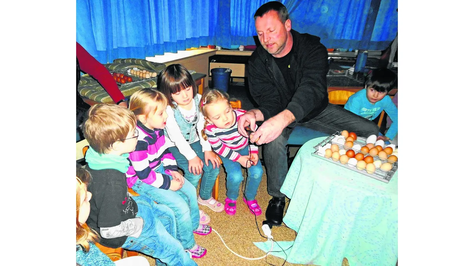 Küken schlüpfen pünktlich nach 21 Tagen (Foto: mk)