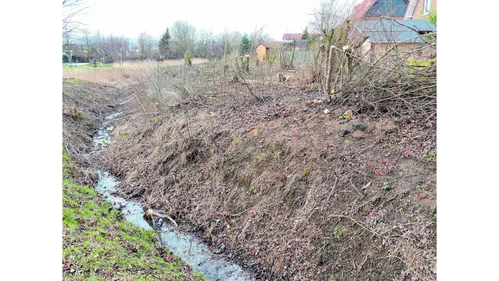 Der Kahlschlag führt bei Anwohnern zu heftiger Kritik (Foto: red)