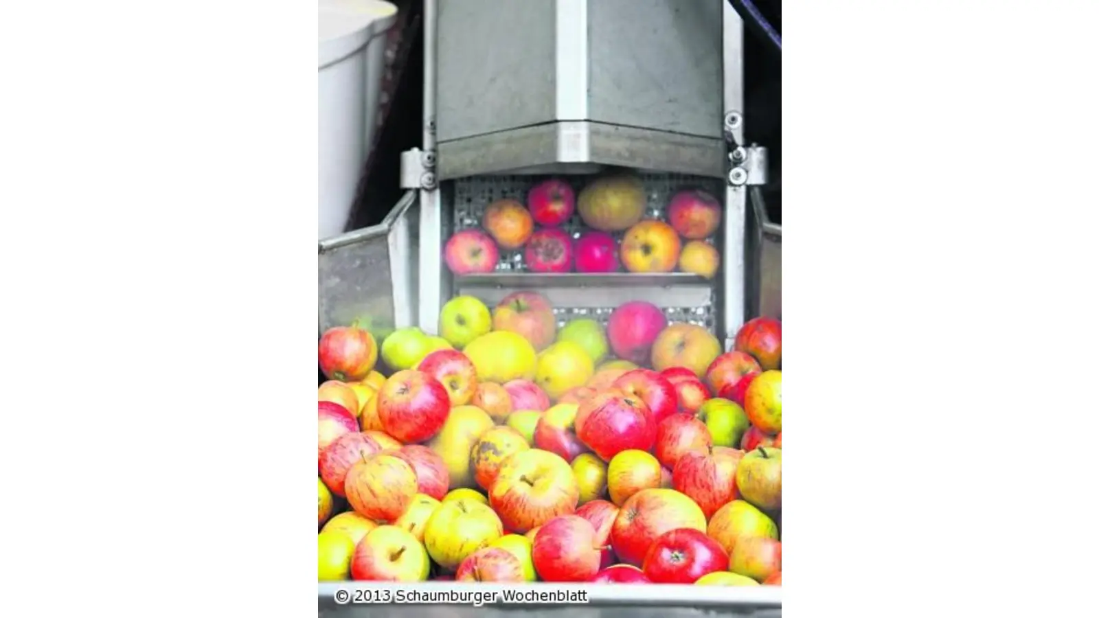 Der Saft heimischer Äpfel fließt literweise (Foto: red)