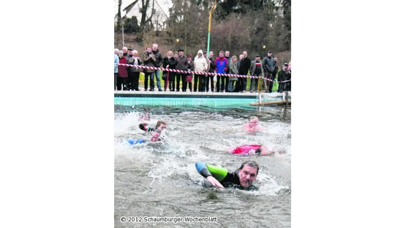 Seepferdchensäger will die Eiswette unterstützen (Foto: red)