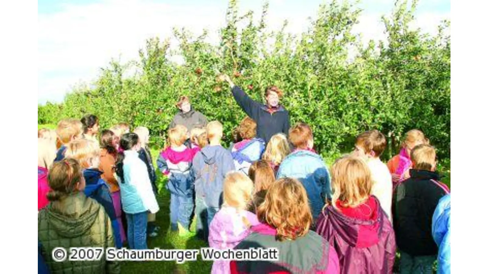 Mit dem Apfel-Express geht es zur großen Ernte (Foto: red)