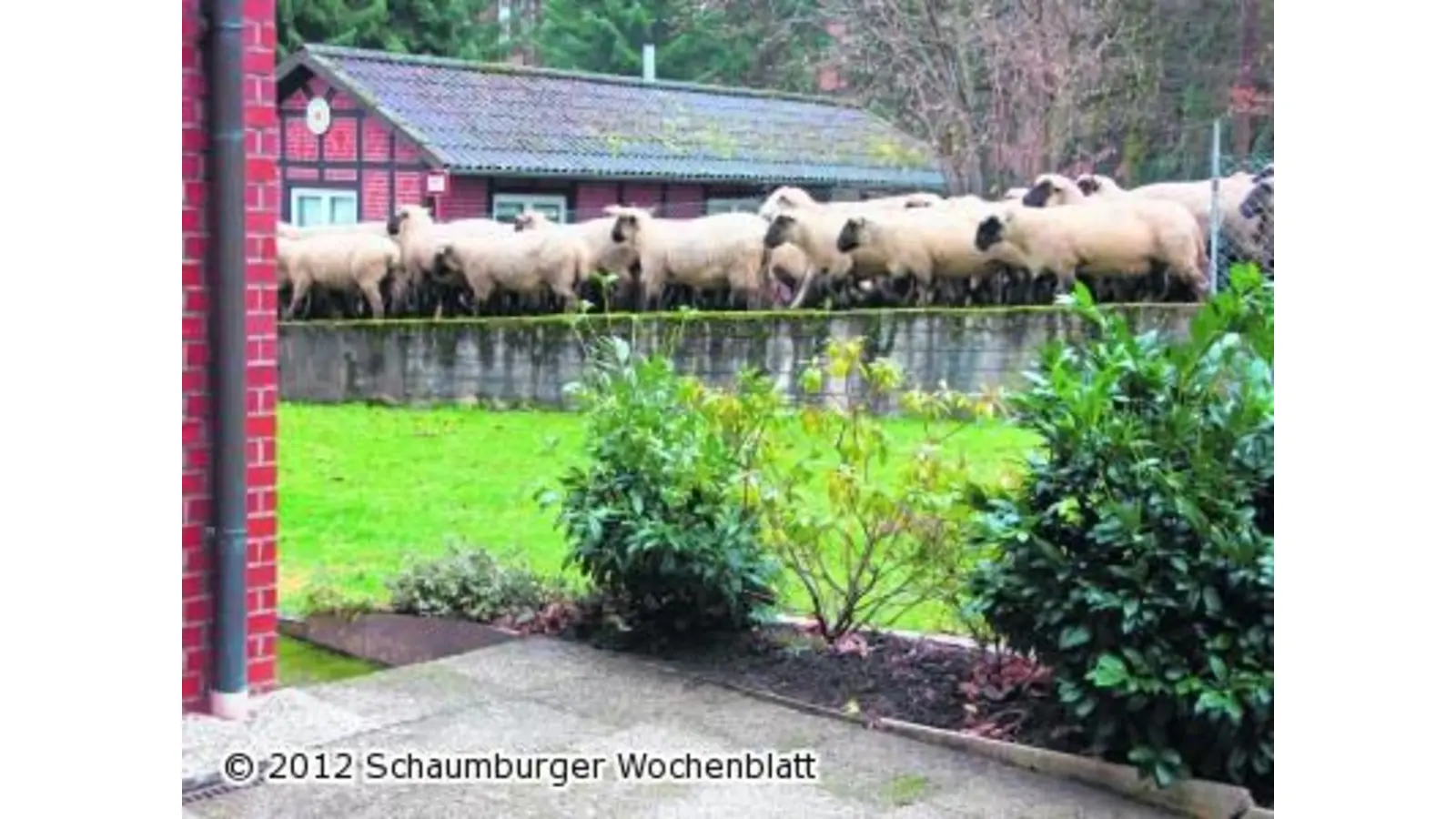 Tierische Bescherung auf dem Land (Foto: red)