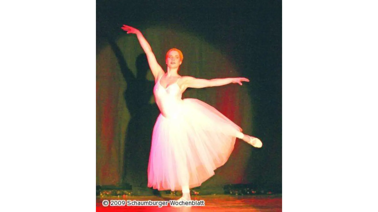 Tänzer zeigen elegante Figuren und coole Moves (Foto: bb)