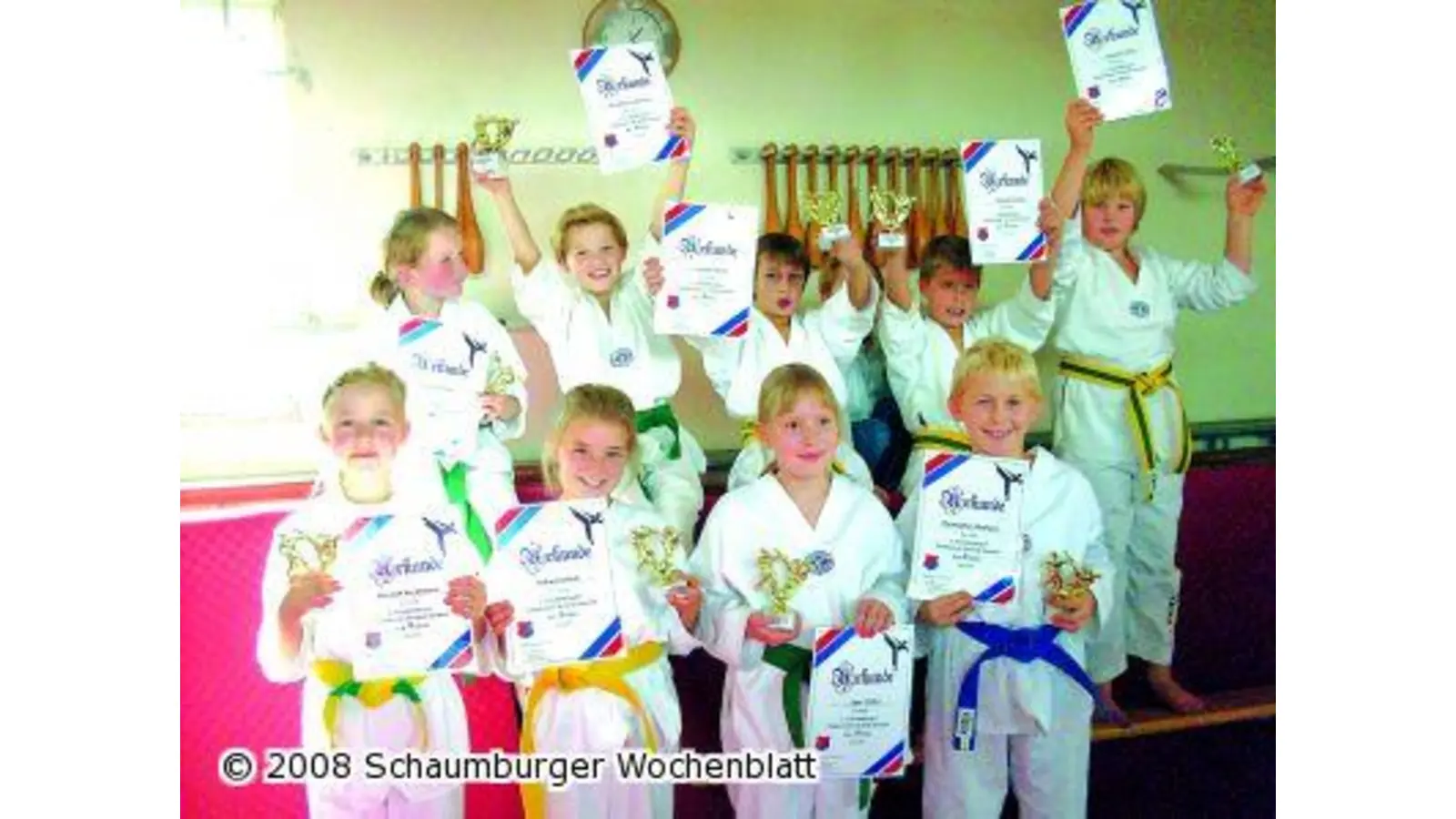 Taekwondo-Turnier erfolgreich (Foto: ro)