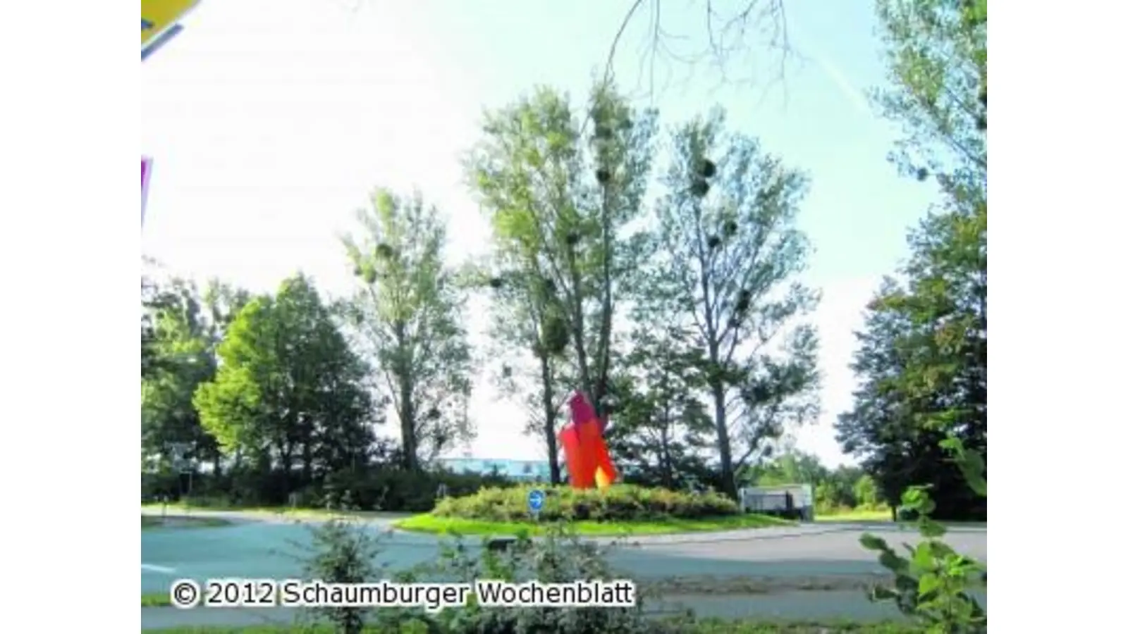 Stadt lässt die Pappeln fällen (Foto: red)