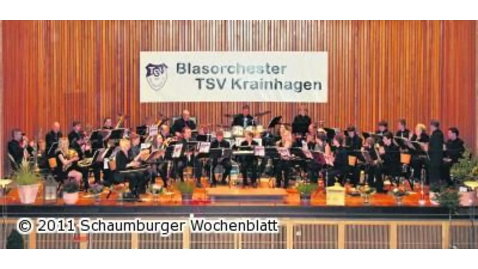 Blasmusik von Marsch bis Musical am Sonntag (Foto: red)