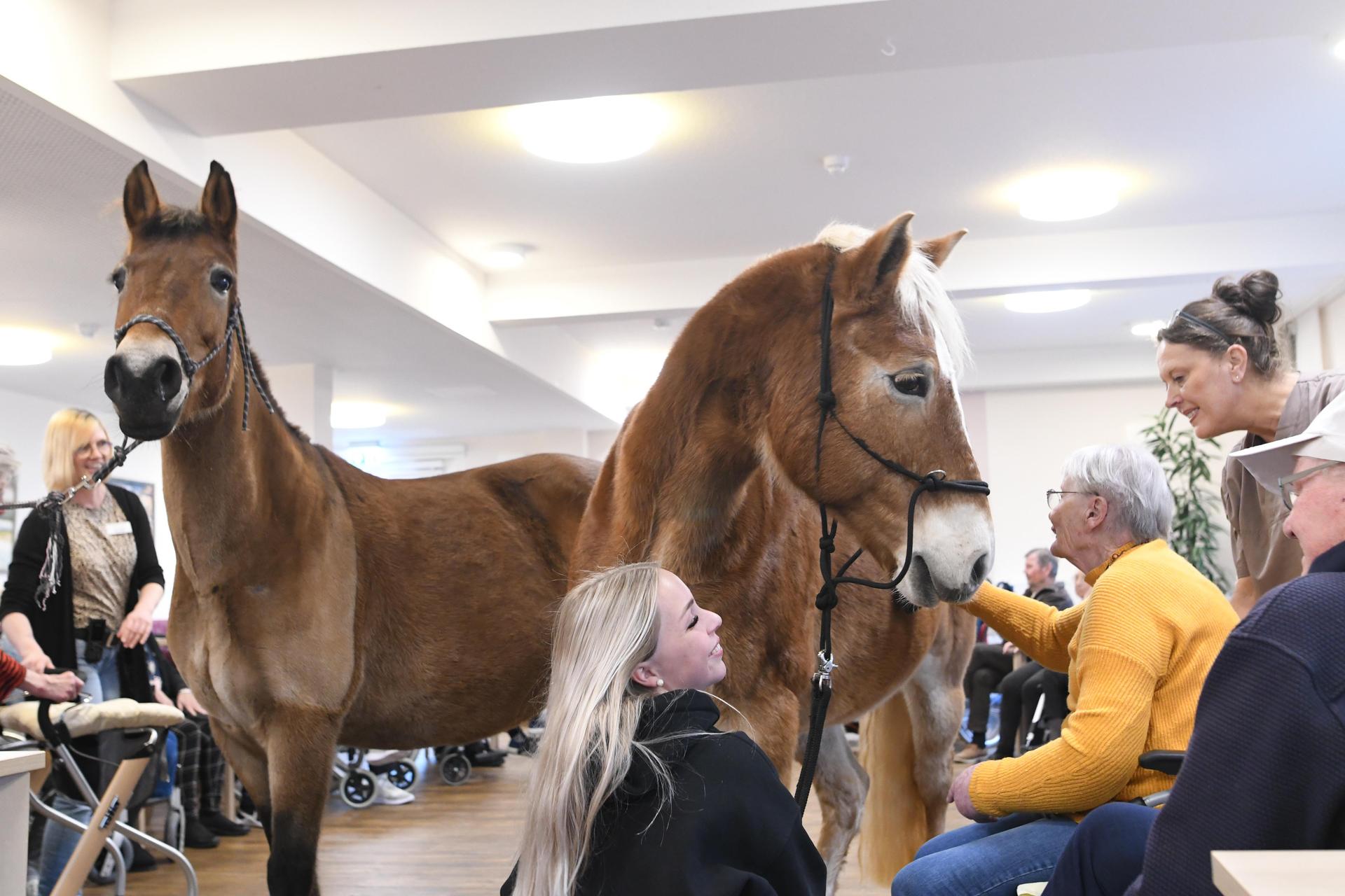Pony Wega und Nele Plaßmeier (Foto: nd)