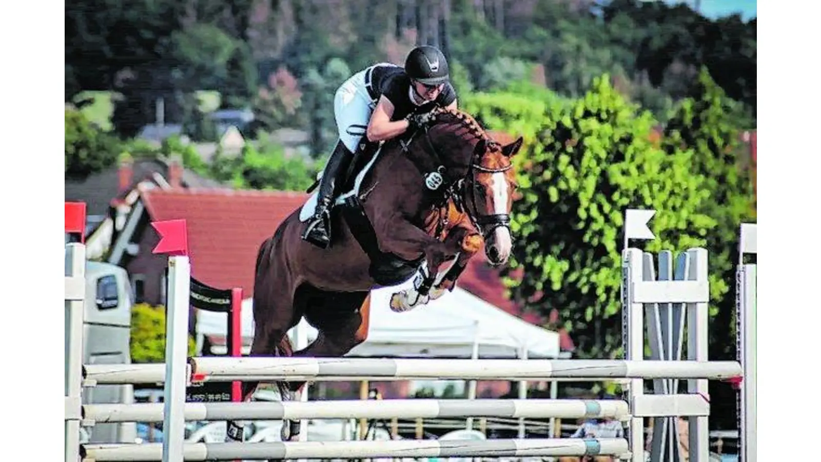 Noch mit 80 auf dem Pferd (Foto: red)