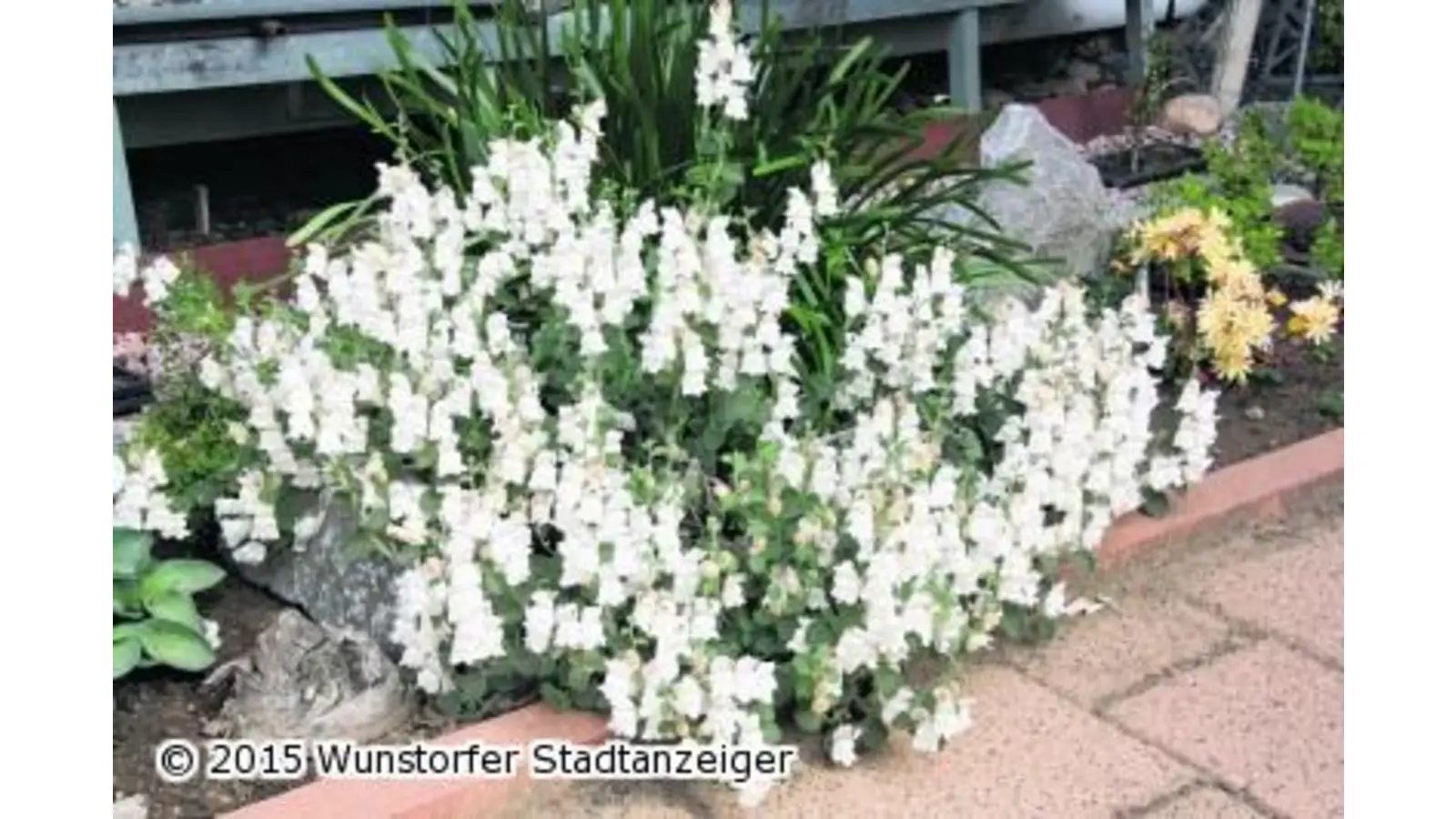 Zwei offenen Pforten in Luthe (Foto: gi)