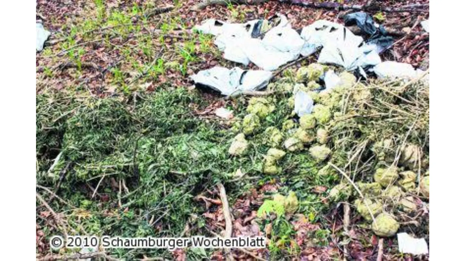 Illegal Müll entsorgt (Foto: tt)