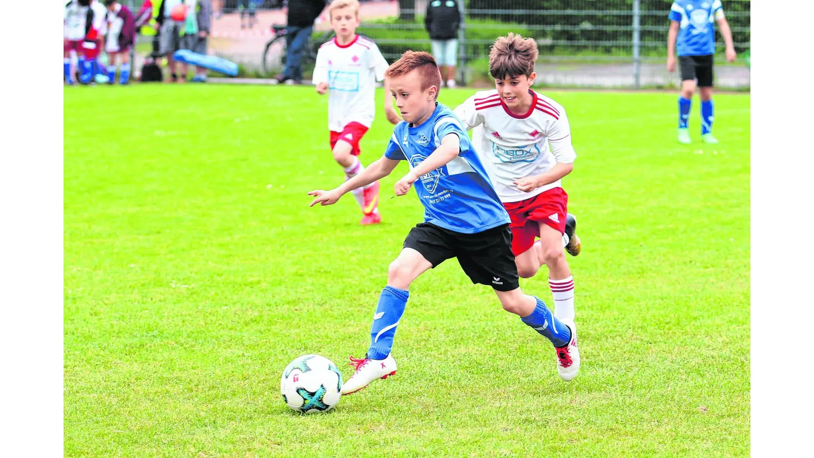 Nachwuchs lässt den Ball rollen (Foto: red)