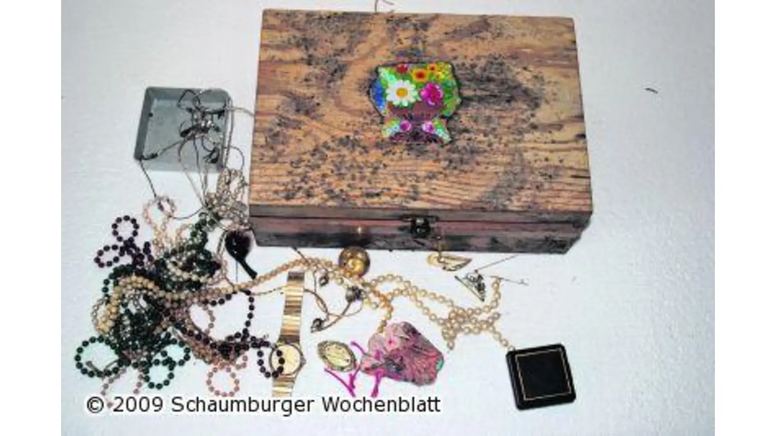 Schmuck im Gebüsch gefunden (Foto: hb)