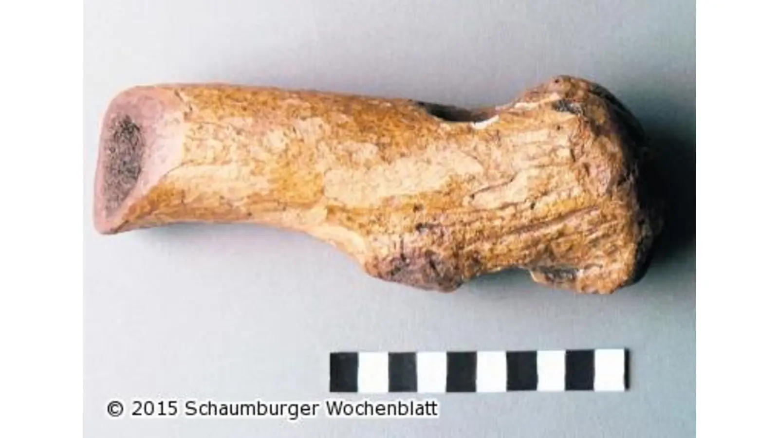 Rosen-Geweihaxt ist über 3000 Jahre alt (Foto: km)