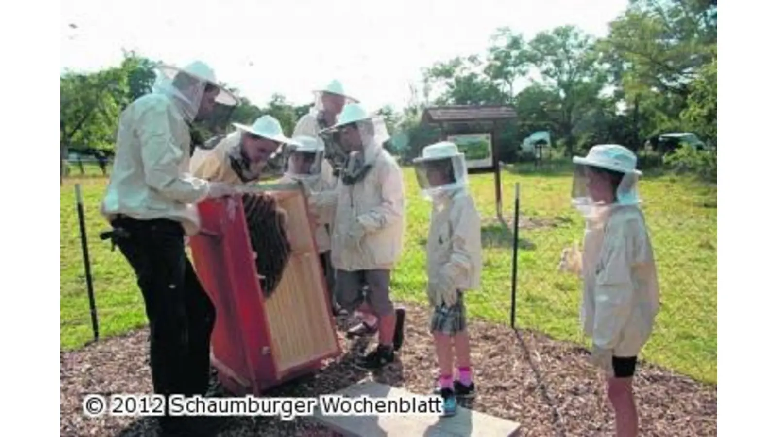 Das brummende und laut summende Klassenzimmer (Foto: ste)
