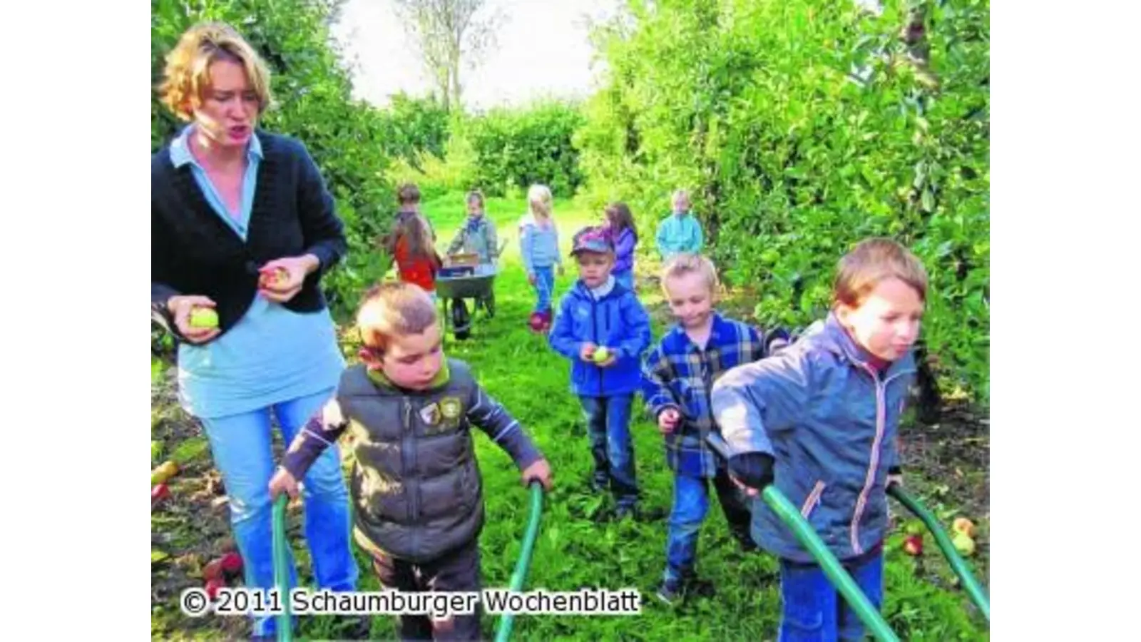 Kindergartenkinder entdecken die Welt der Äpfel (Foto: em)