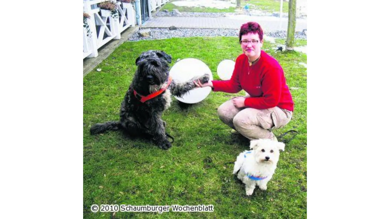 Ein großes Sommerfest für die Tiere (Foto: hb)
