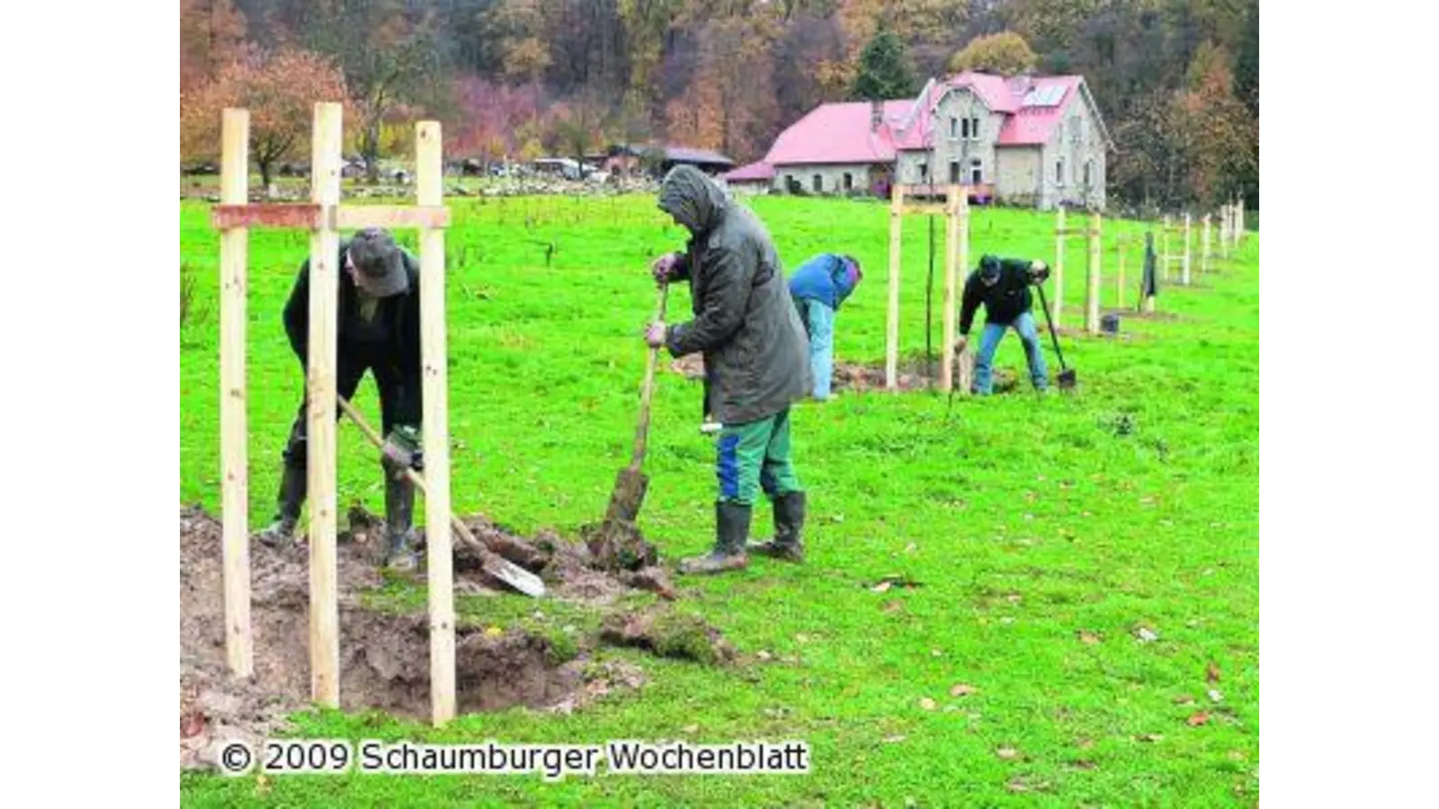 60 Bäume für 5000 Tierarten (Foto: al)