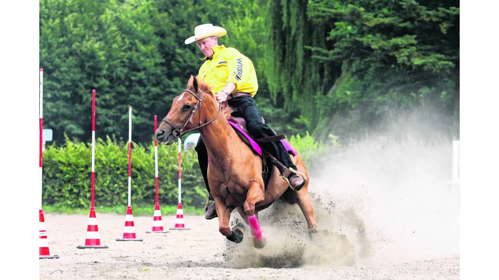 Ross und Reiter geben alles (Foto: bb)