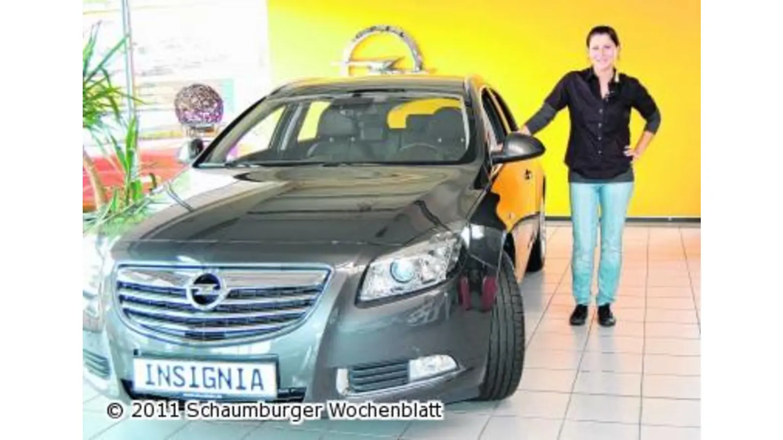 Pkw und Nutzfahrzeuge für jeden Bedarf (Foto: red)