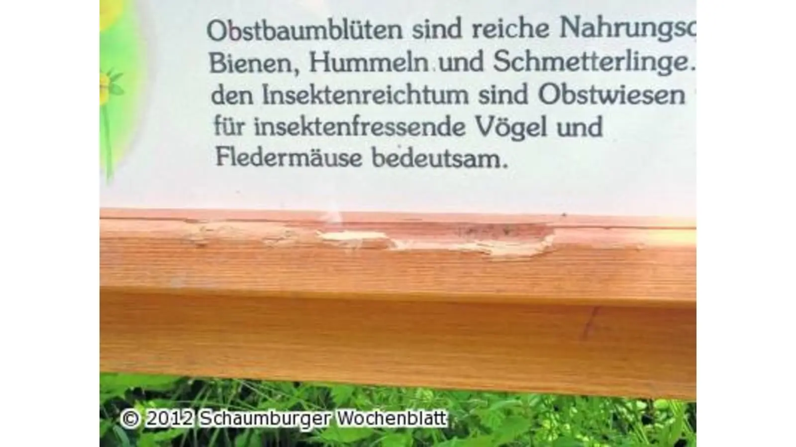 Informationstafeln beschädigt (Foto: red)