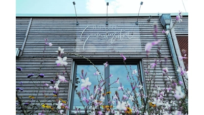 Dorfleben in Rehren soll wieder aufblühen (Foto: jb)