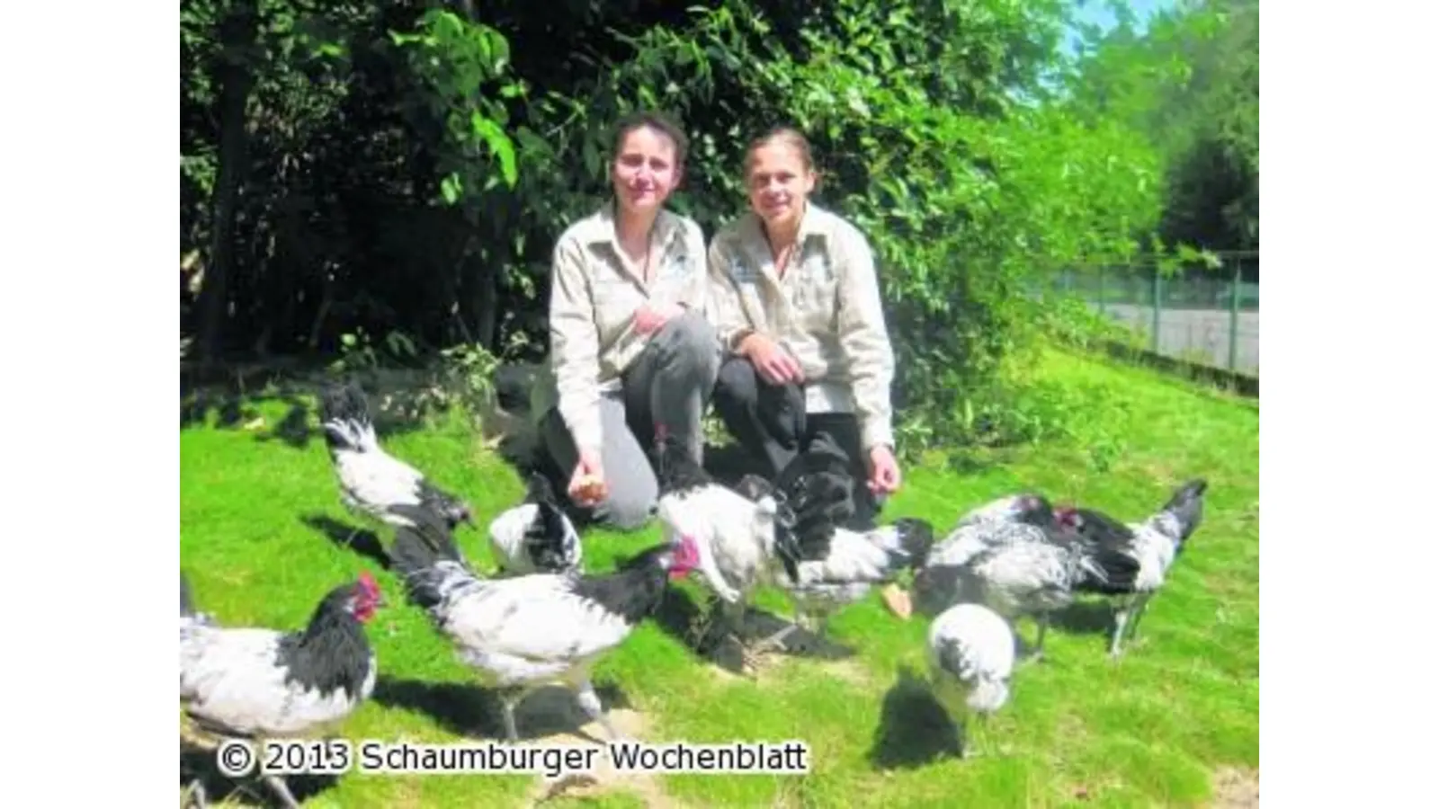 Ein spannendes Jahr neigt sich dem Ende zu (Foto: em)