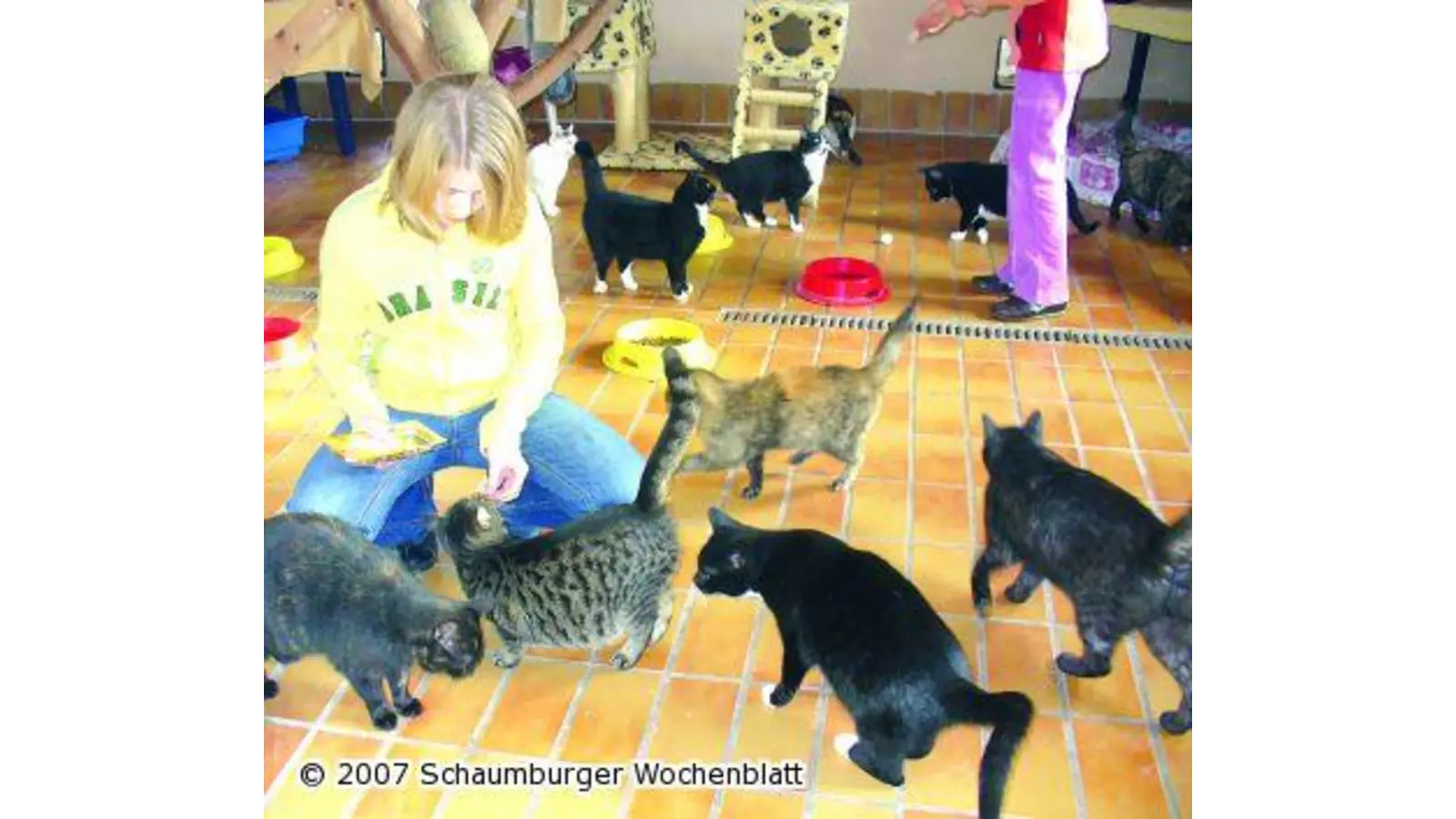 Weihnachtsbasar geht zu Gunsten der Tiere (Foto: hb)