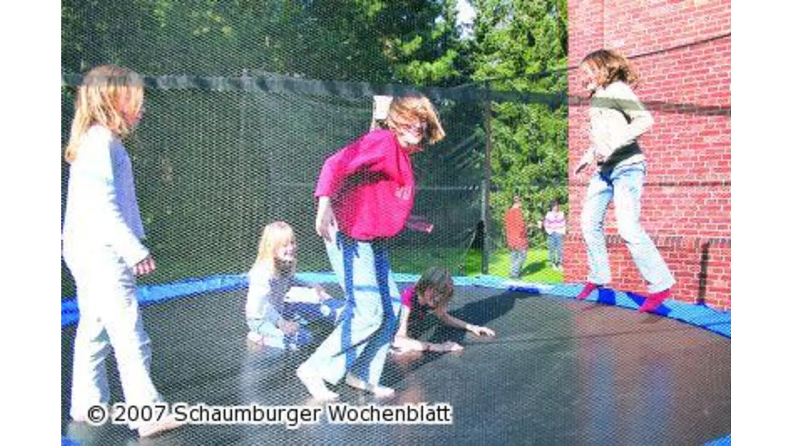 Toben ist angesagt (Foto: mr)