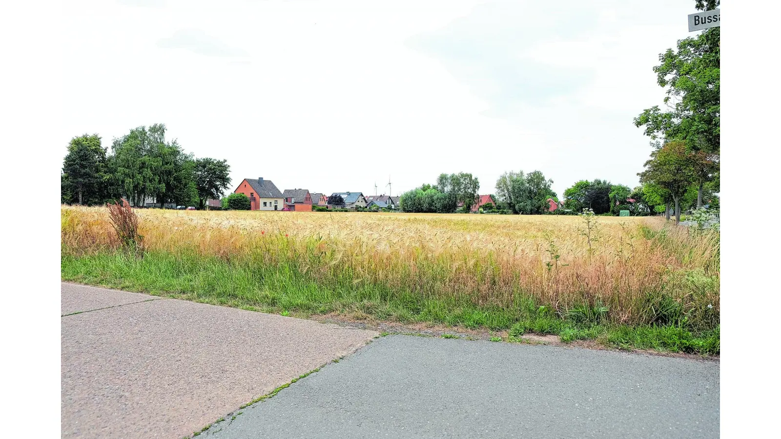 Im Riepener Baugebiet geht es erst später los (Foto: jl)