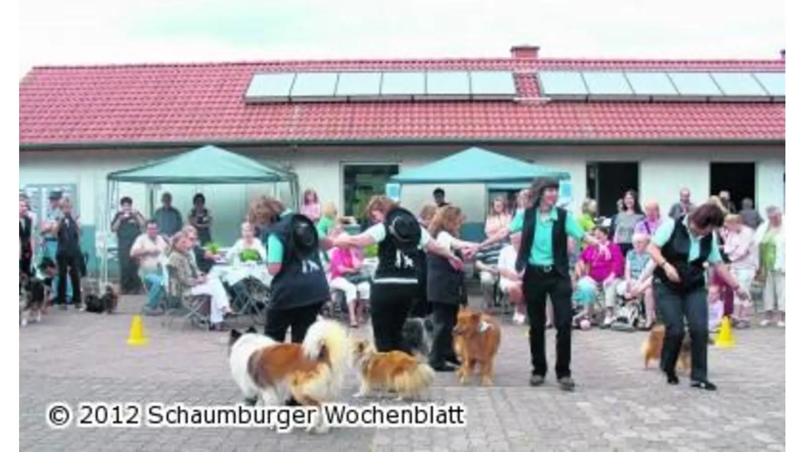 Tierschützer feiern ein buntes Sommerfest (Foto: hb)