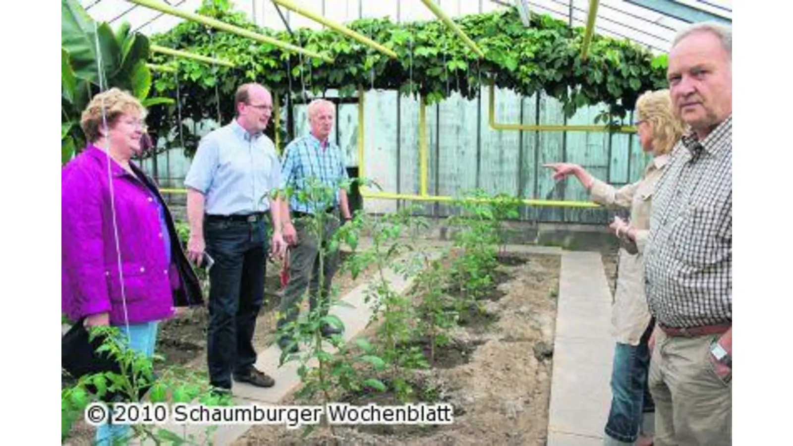 Langsam gedeihen und erblühen (Foto: ih)