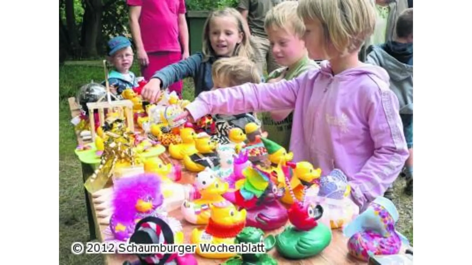 Enten schwimmen auf der Aue (Foto: al)