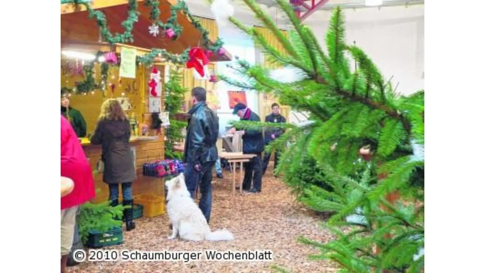 Streichelzoo beim Weihnachtsmarkt (Foto: al)