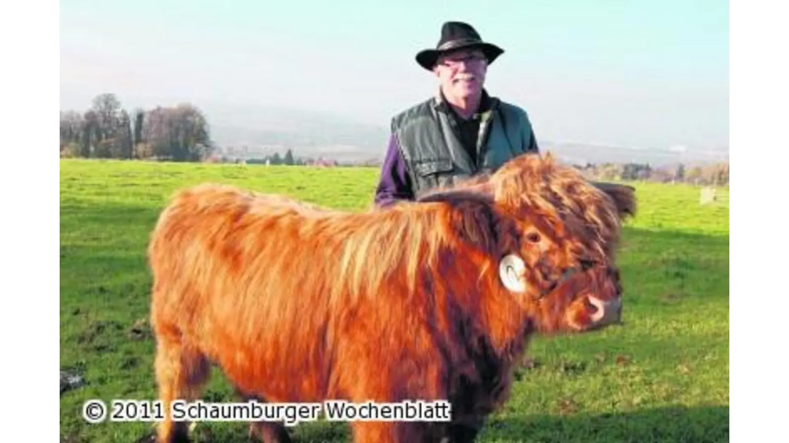 Schönheitswettbewerb für die Highland-Cattles (Foto: red)