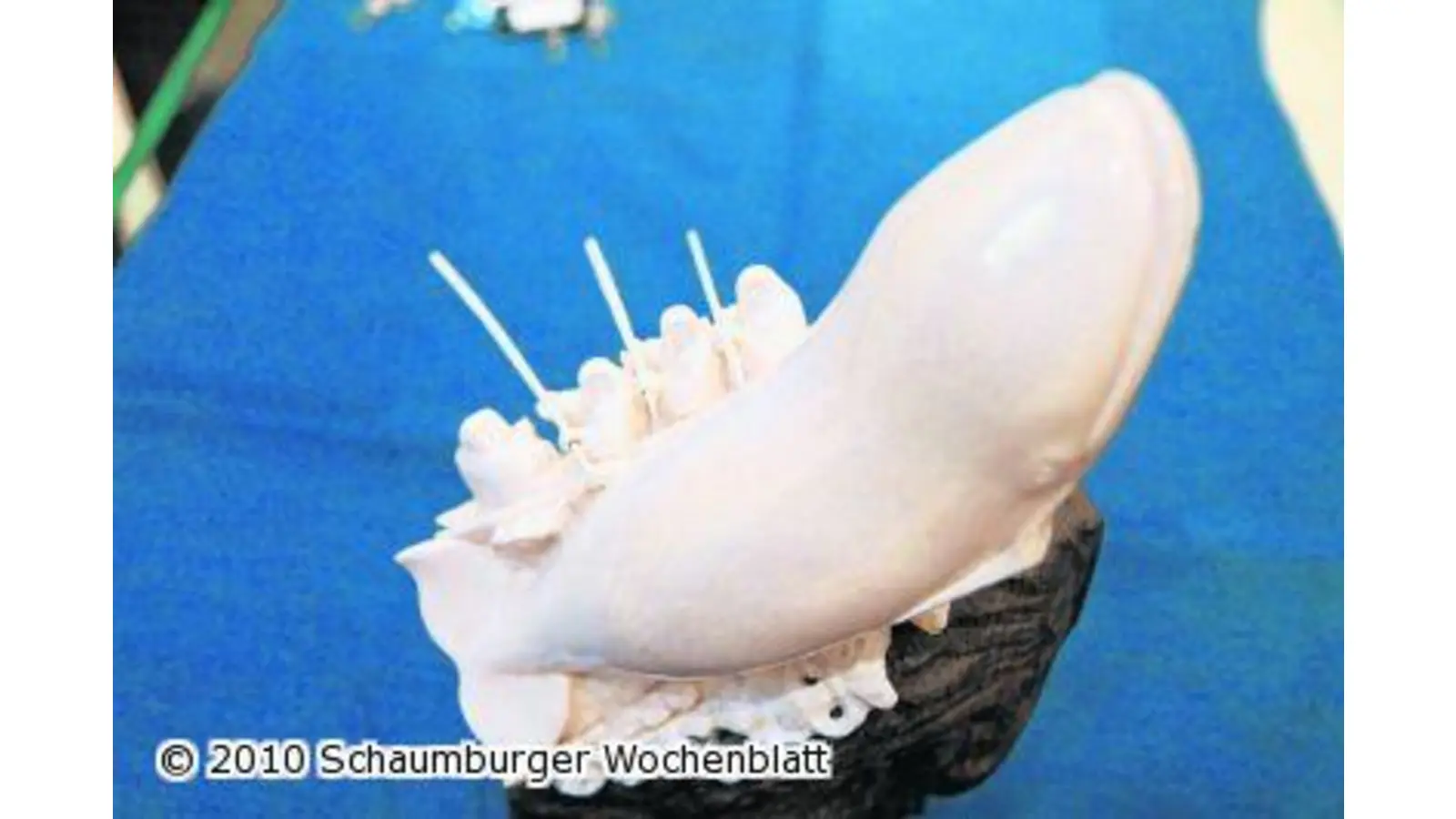 Kunstwerke aus eiszeitlichem Material (Foto: bb)