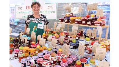Produkte rund um den Apfel aber auch vieles weitere wird beim Apfelmarkt zu haben sein.  (Foto: Borchers, Bastian [bb] (bbborchers@arcor.de, borchers))