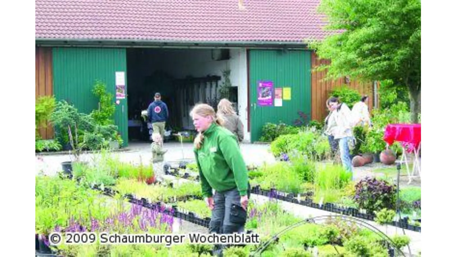 Die Fachfragen loswerden (Foto: ih)