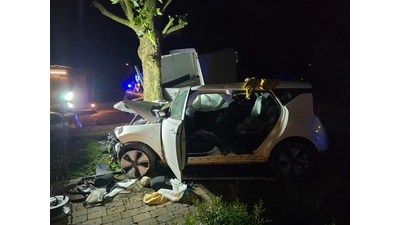 Die Feuerwehr musste den Beifahrer befreien. (Foto: privat)