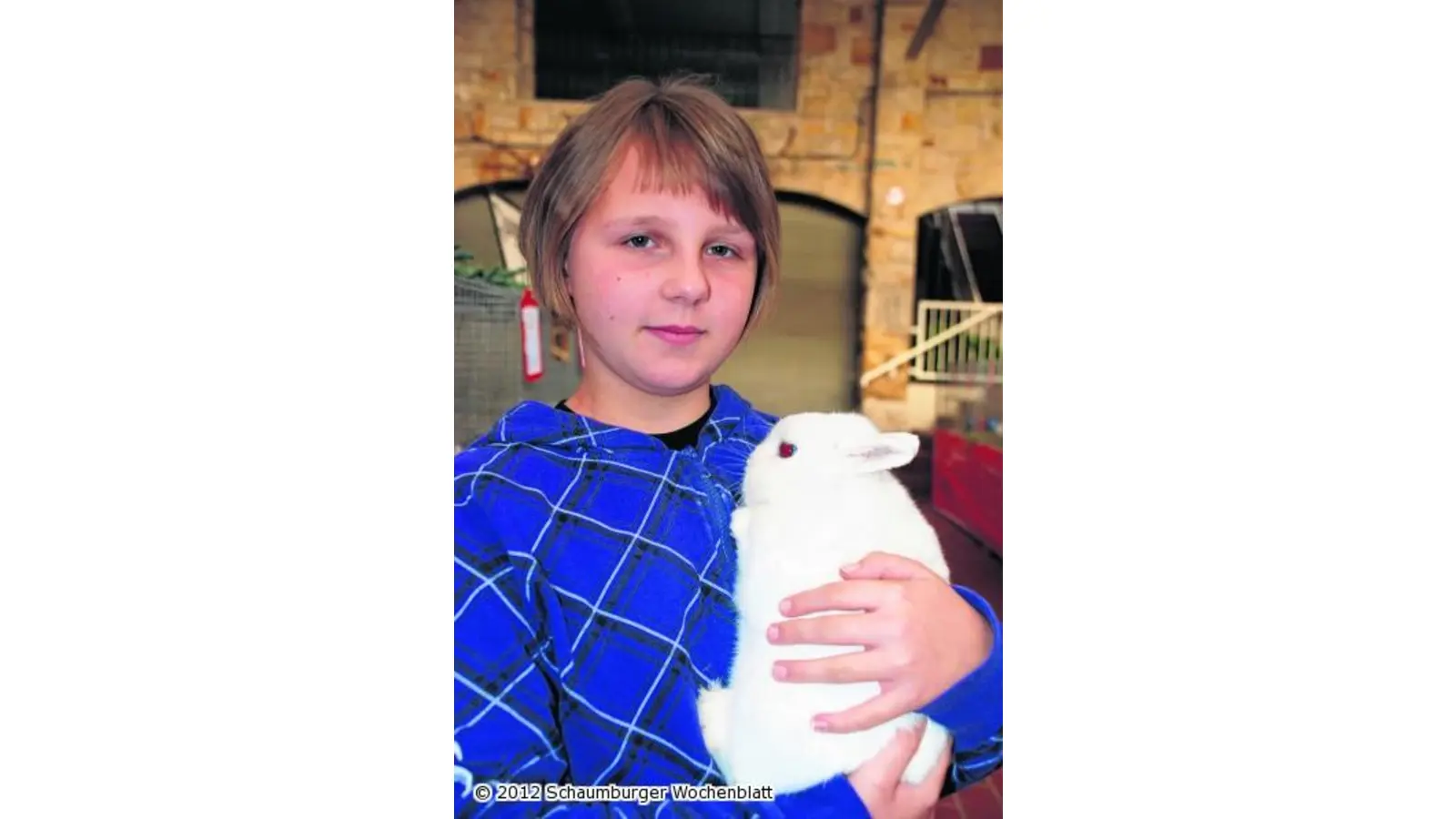 Kaninchenzüchter mit fünf Meistertiteln (Foto: red)