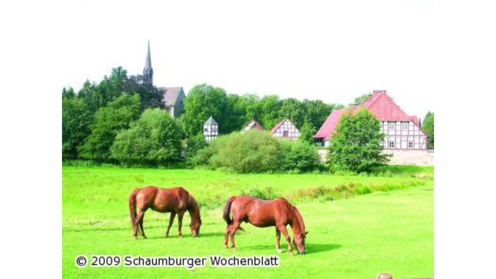 Kirchen entdecken in der Mittelweser-Region (Foto: red)