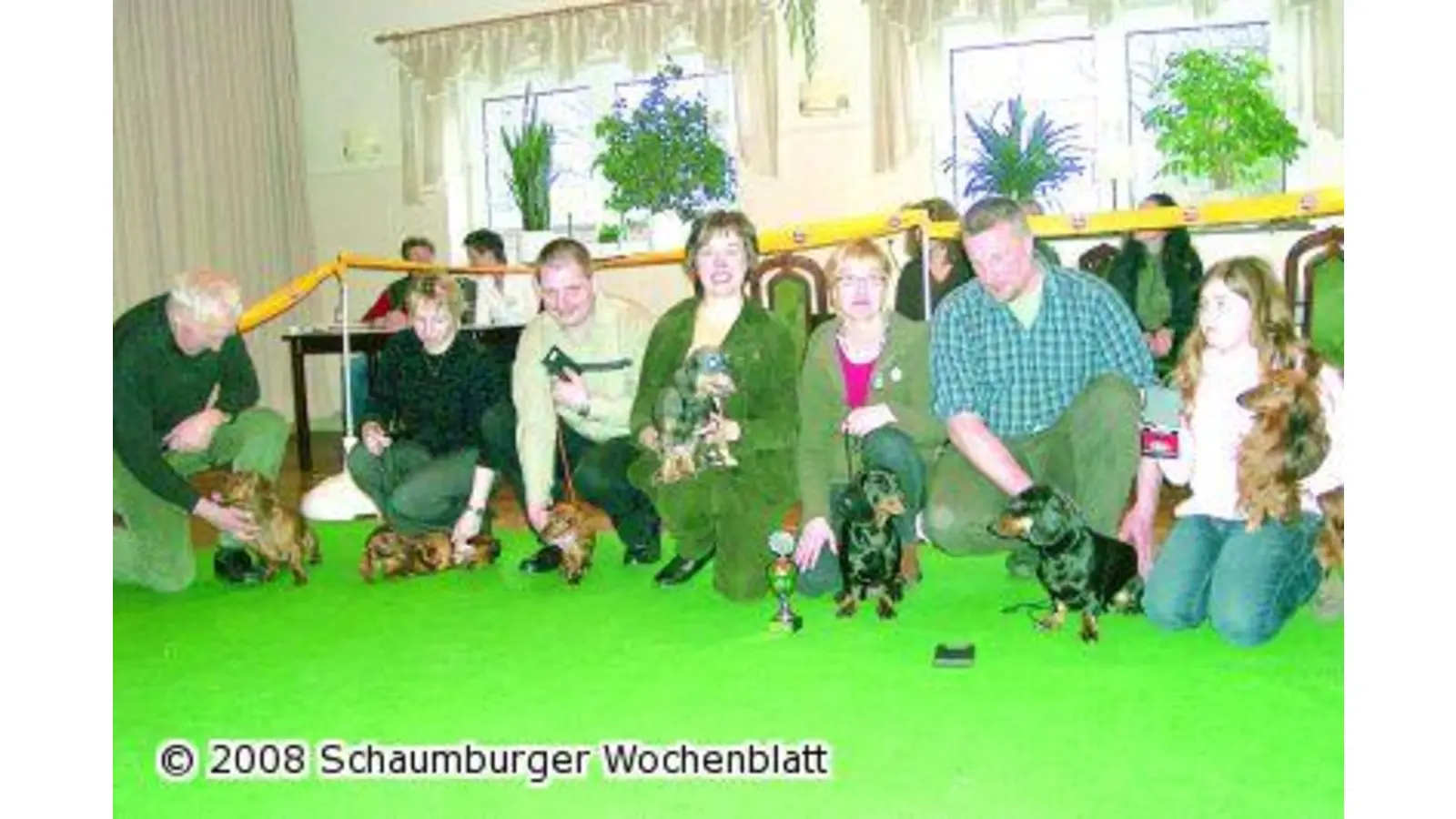 Teckel dackeln über den Laufsteg (Foto: ro)