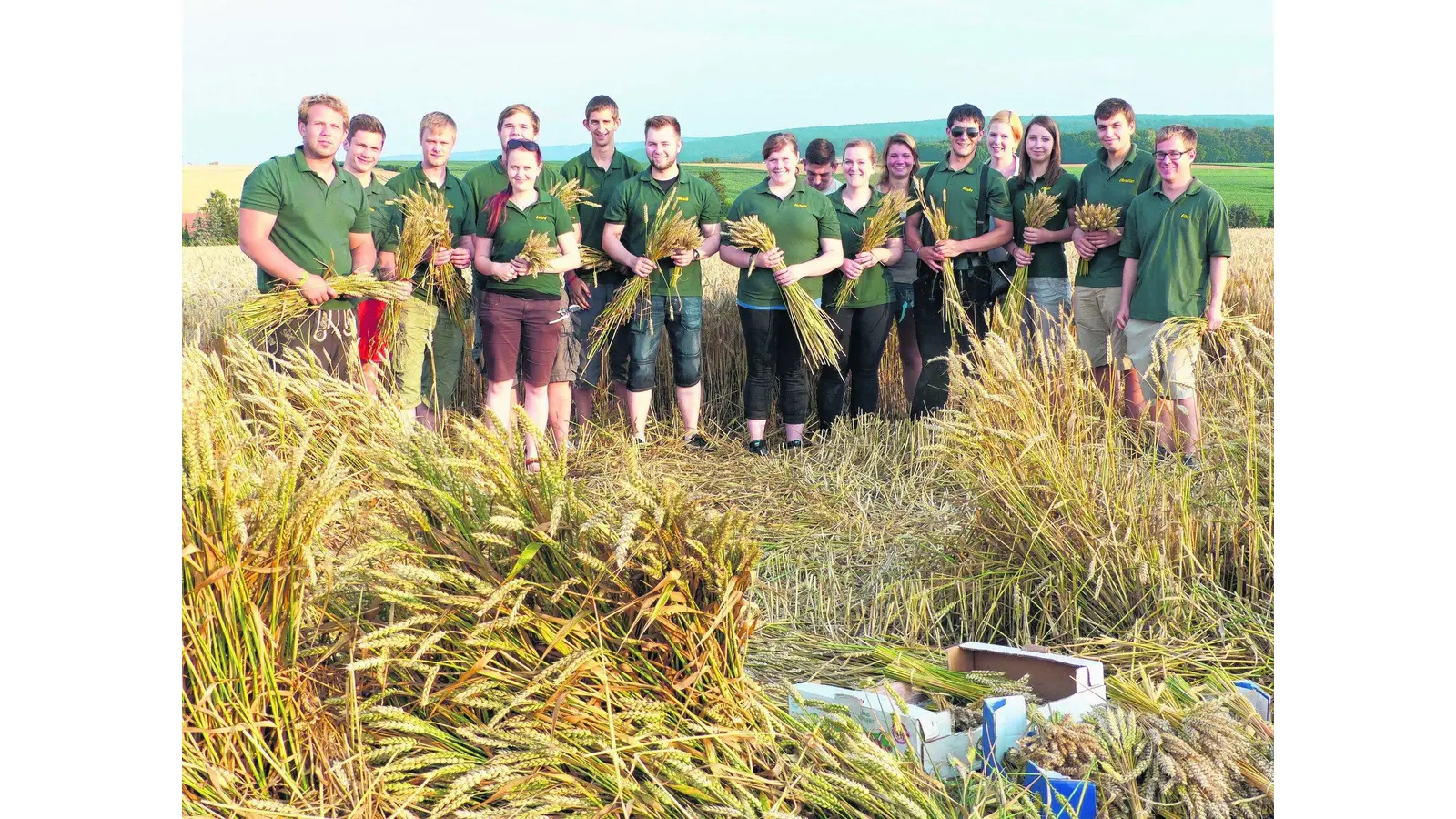 Für die Erntekrone ist der Weizen geschnitten (Foto: al)