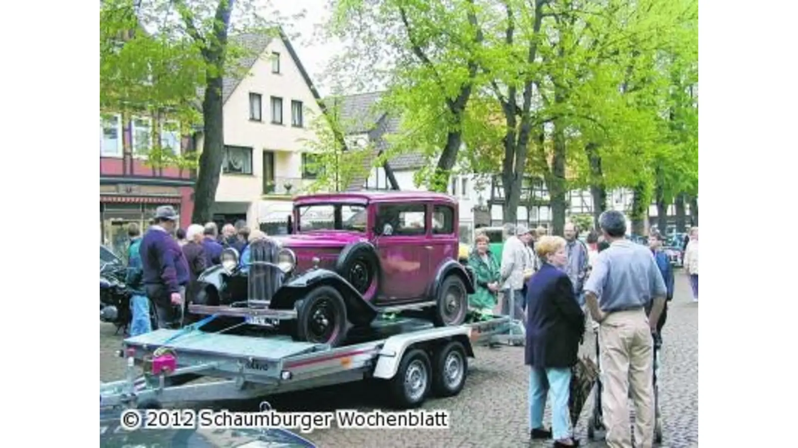 Schnauferl im Schaumburger Wald (Foto: km)