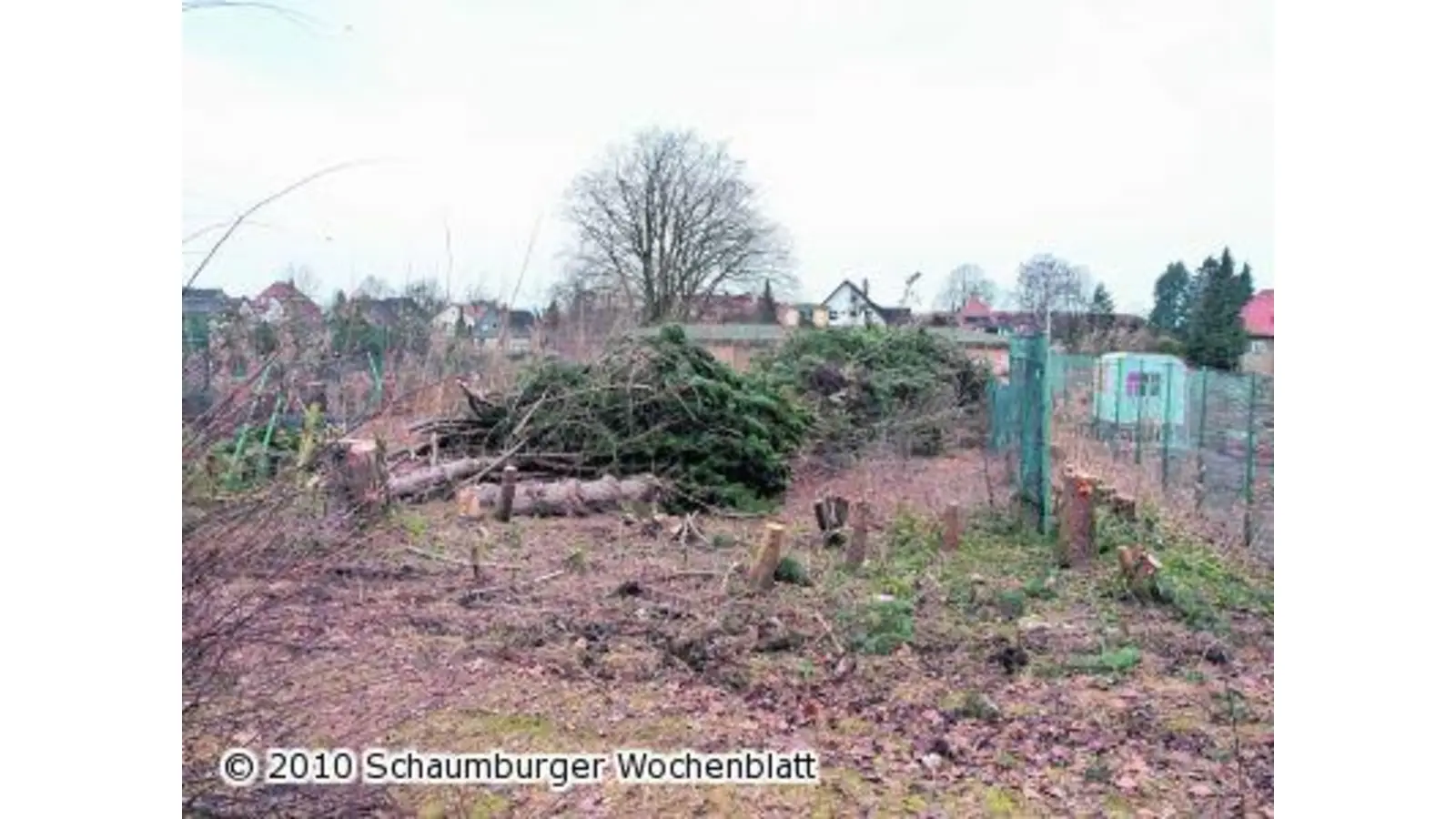Bagger und Sägen im Großeinsatz (Foto: pd)