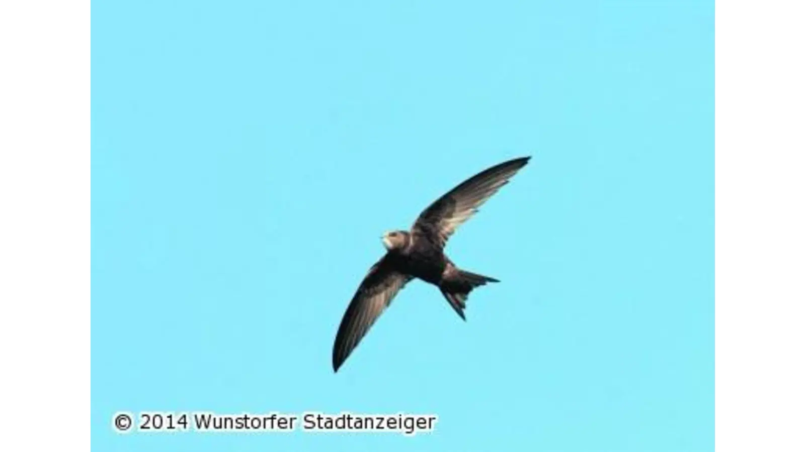 Die Tage sind gezählt (Foto: mk)