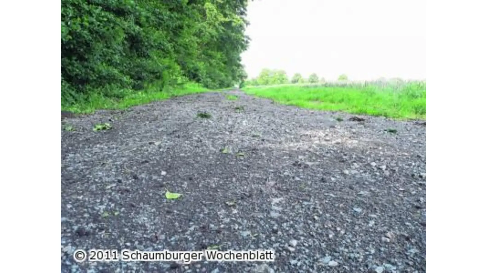 Grant und Splitt statt Matsch (Foto: al)