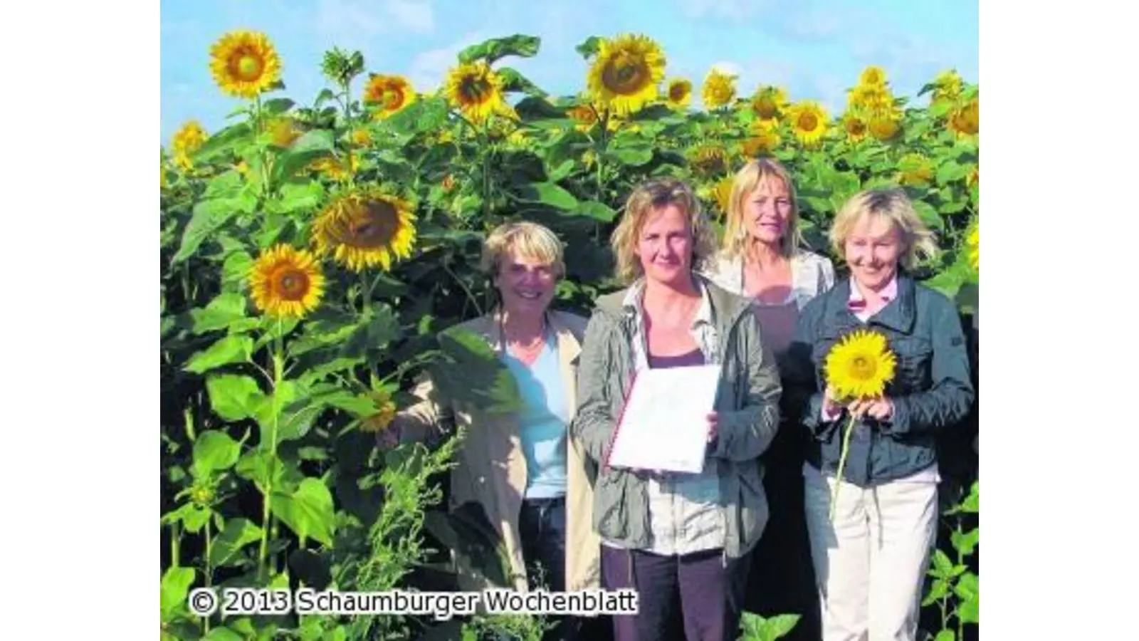 Bunter Familientrubel beim Sonnenblumenfest (Foto: red)