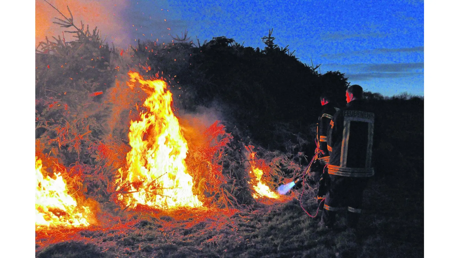 Tannenbrand in Hagenburg (Foto: gr)