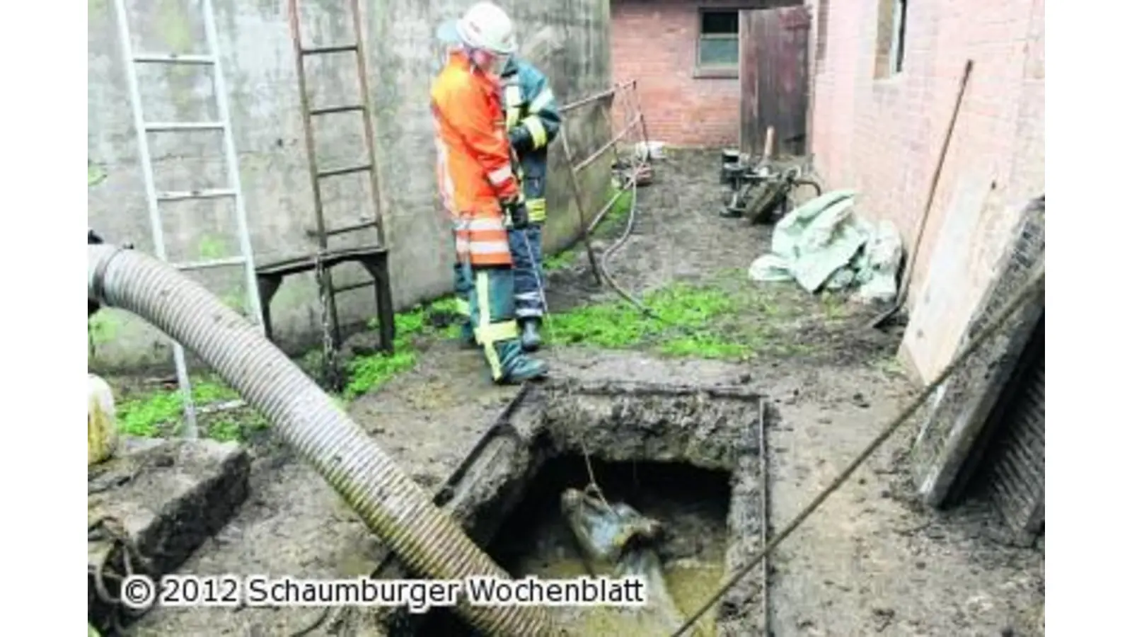 Kuh fällt in Güllegrube (Foto: wa)