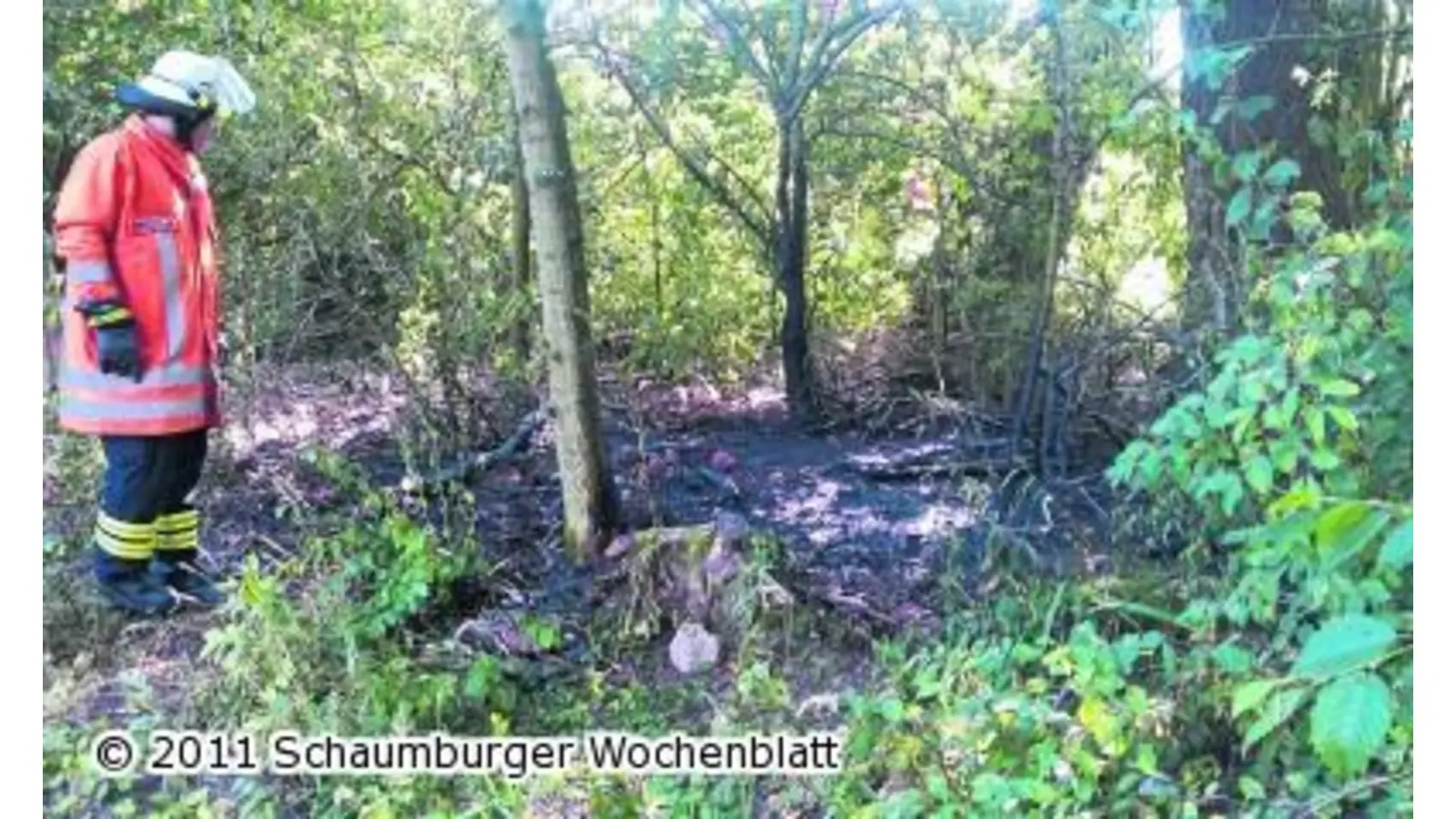 Feuer schnell gelöscht (Foto: red)